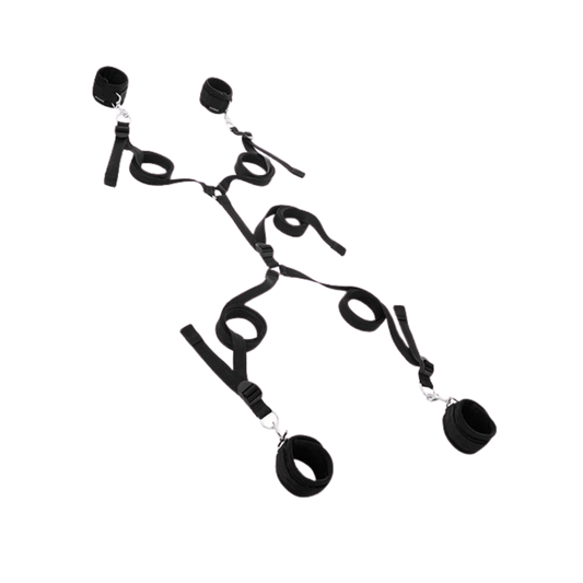 Under The Bed Restraint System